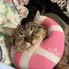 ally - @ally._stevens - TikTok