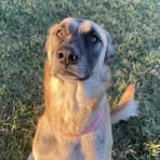 Ally Toussaint - Facebook