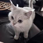 Ally Yan - Facebook