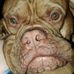 Allison Ackerman - Facebook