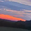 allison best - @10animals3 - TikTok
