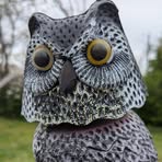Allison Bishop - Facebook