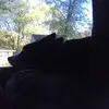 Allison._.Broyles - @allison._.broyles7 - TikTok