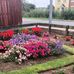 Alison Chamberlain - Facebook