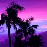 Allyson Charles - @allyson.charles.908 - Instagram