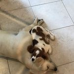 Allyson Collins - @allysoncollins9095 - Instagram