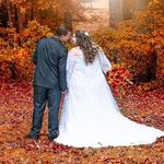 Allyson Collins - @allysonmarie53 - Instagram