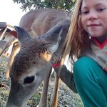 Allison Conner - @allison.conner.9615 - Instagram