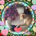 Alison R Crane - Facebook