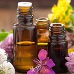 Allison Crane-Bidoli - @essential_oil_forlife - Instagram