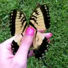 Alison Dawson - @alison.dawson26 - TikTok