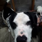 Allison Holmes - Facebook