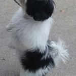 Allyson Jimenez - @allyson.jimenez.549 - Instagram