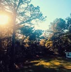 Allyson Johnston - Facebook