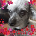 Allyson McCarthy Langley - @allysonlangley62 - Instagram