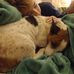 Allison Lynch - Facebook