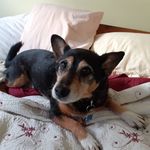 Allyson Matthews - @allysonmatthews81 - Instagram
