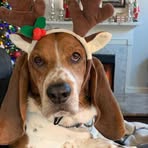 Allyson Patton - Harness - Facebook