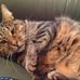 Alison Purcell - Facebook