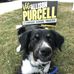 Allison Purcell - Facebook