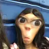 Allyson Smith - @allyson.redbull - TikTok