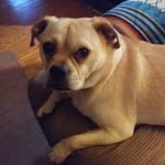 allison stark - @allycat051807 - Instagram