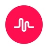 allyson.werner10 - @allyson.werner10 - TikTok