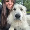 Allyson  Wright - @allyson.wright7 - TikTok
