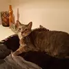 Allyson Wright - @allysonwright004 - TikTok