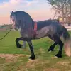 almabecerril88 - @almabecerril88 - TikTok