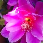 Alma Burns - @almaburns2047 - Instagram