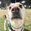 Alma Carbone - @alma.carbone - TikTok