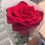Alma Castorena - @castorena_alma_ - Instagram