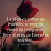 Alma Cedillo - Facebook