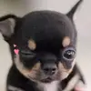 almaa - @almaa.agosss - TikTok