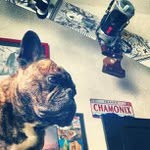 Alma Hunter - @emotiatoo - Instagram