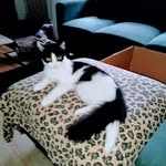 Sandra K. Alma Hunter - @sandy27659 - Instagram
