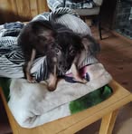 Alma Jackson - Facebook