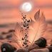 Alma Lara - Facebook