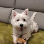 Cristina Jiménez - @alma_lawestie - Instagram