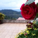 Alma Rosa Amador Matute - @amadormatute - Instagram