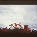 matutedealmazan - @matutedealmazan - Instagram