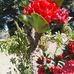 Alma Medrano - Facebook