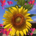 Alma Razo - Facebook