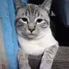 Alma Razo Gonzalez - @alma.razo.gonzale - TikTok