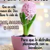 Alma Rocha - @user15368582 - TikTok