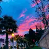 Alma Roldan - @alma.roldan63 - TikTok