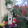 Alma Roldan - @almaroldan0 - TikTok