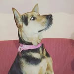almaychoppbebes - @alma_roldan_alma - Instagram