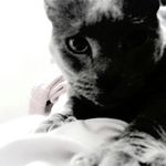 alma.vivas - @alma.vivas - Instagram